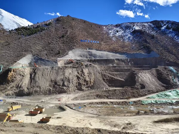 旺西杂草歌 (2).jpg